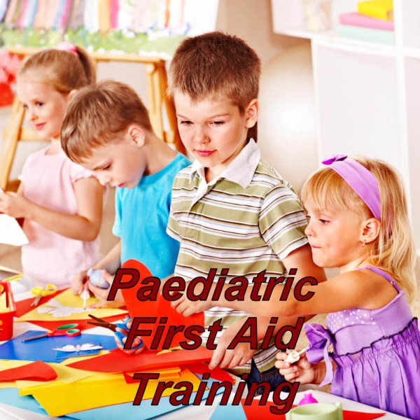 Paediatric first aid training via e-learning for child minders, nannies & teachers