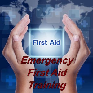 Emergency First Aid Course via e-learning, ideal for school teachers, childminders, warehouse & factory workers, emergency first aid course available via e-learning
